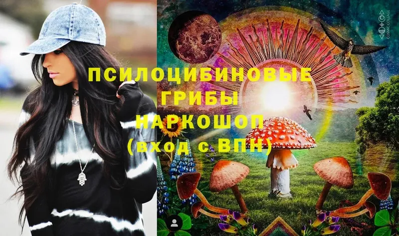 Псилоцибиновые грибы Psilocybe  цены   Ряжск 